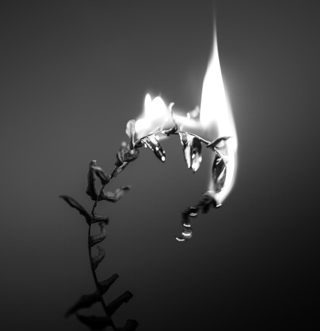 Molly Toomey mental health therapy counseling Connecticut Molly Toomey mental health therapy counseling Connecticut