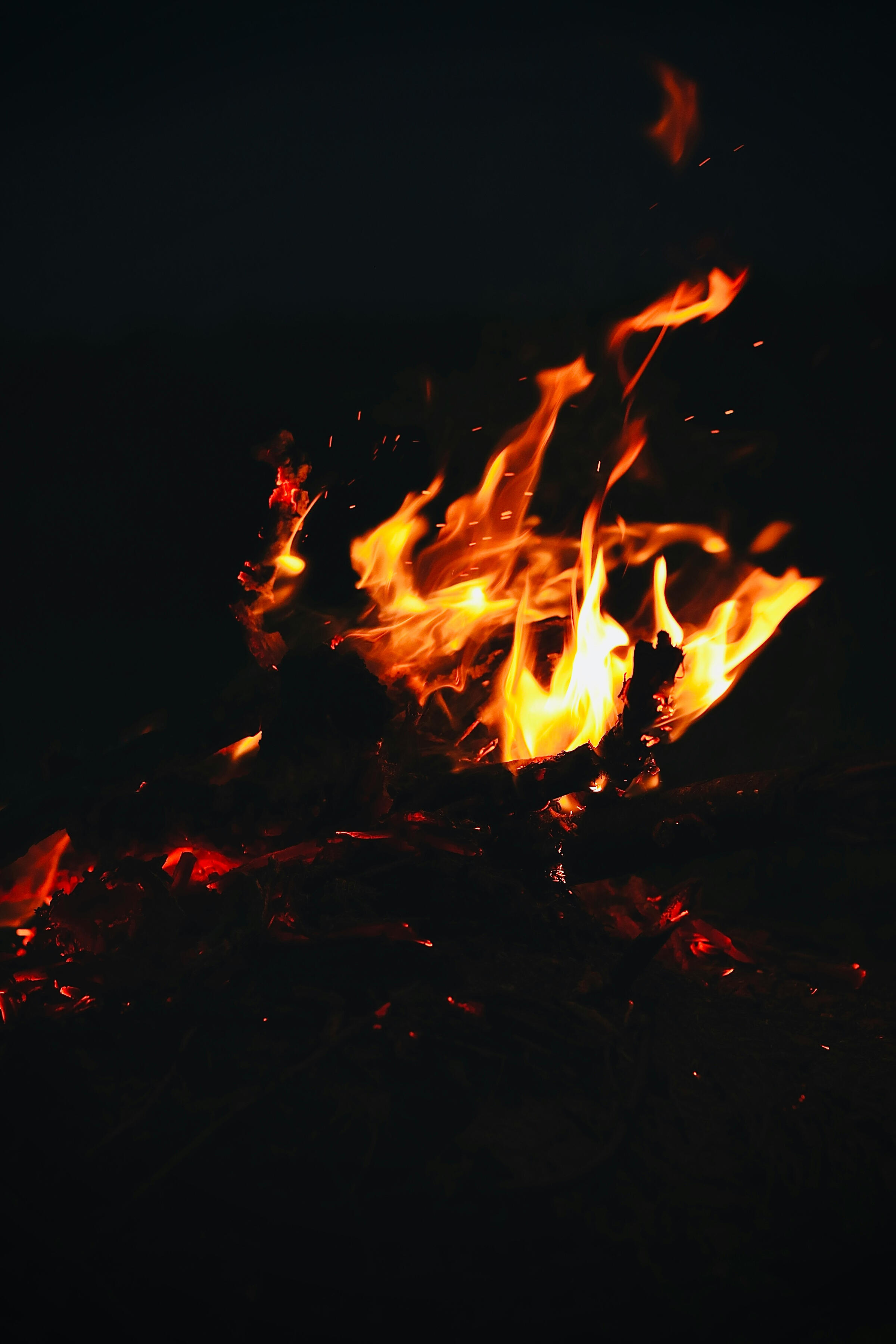 Molly Toomey mental health therapy counseling Connecticut