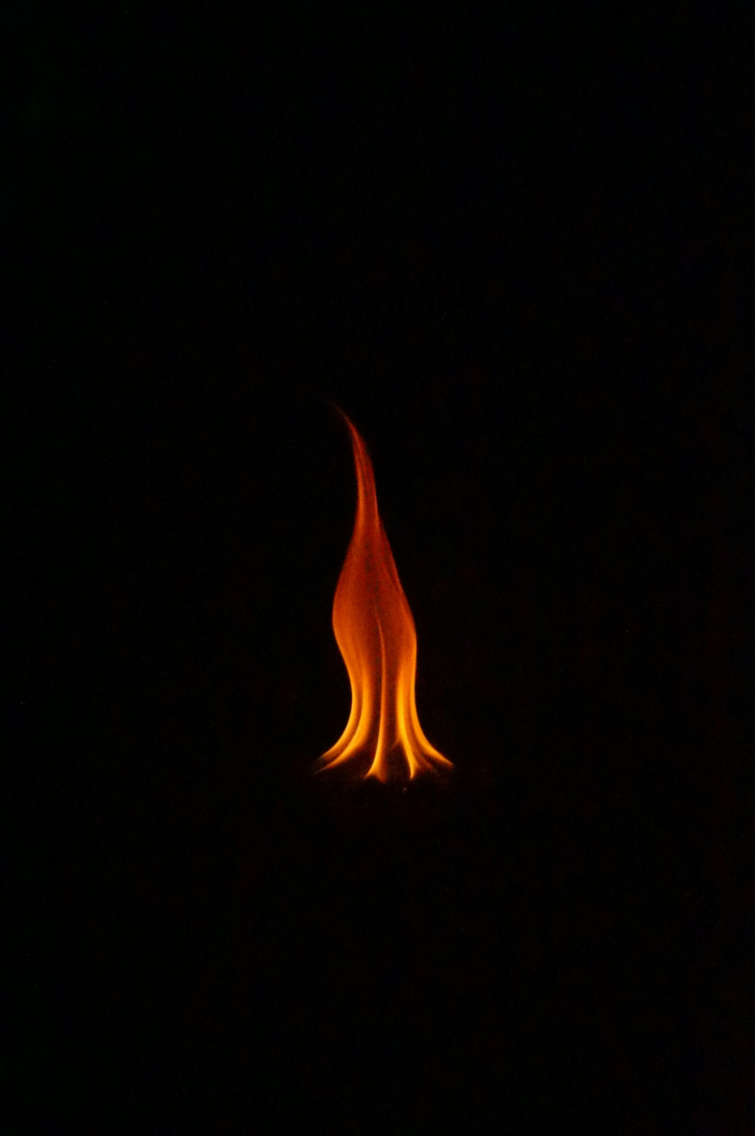 Molly Toomey mental health therapy counseling Connecticut