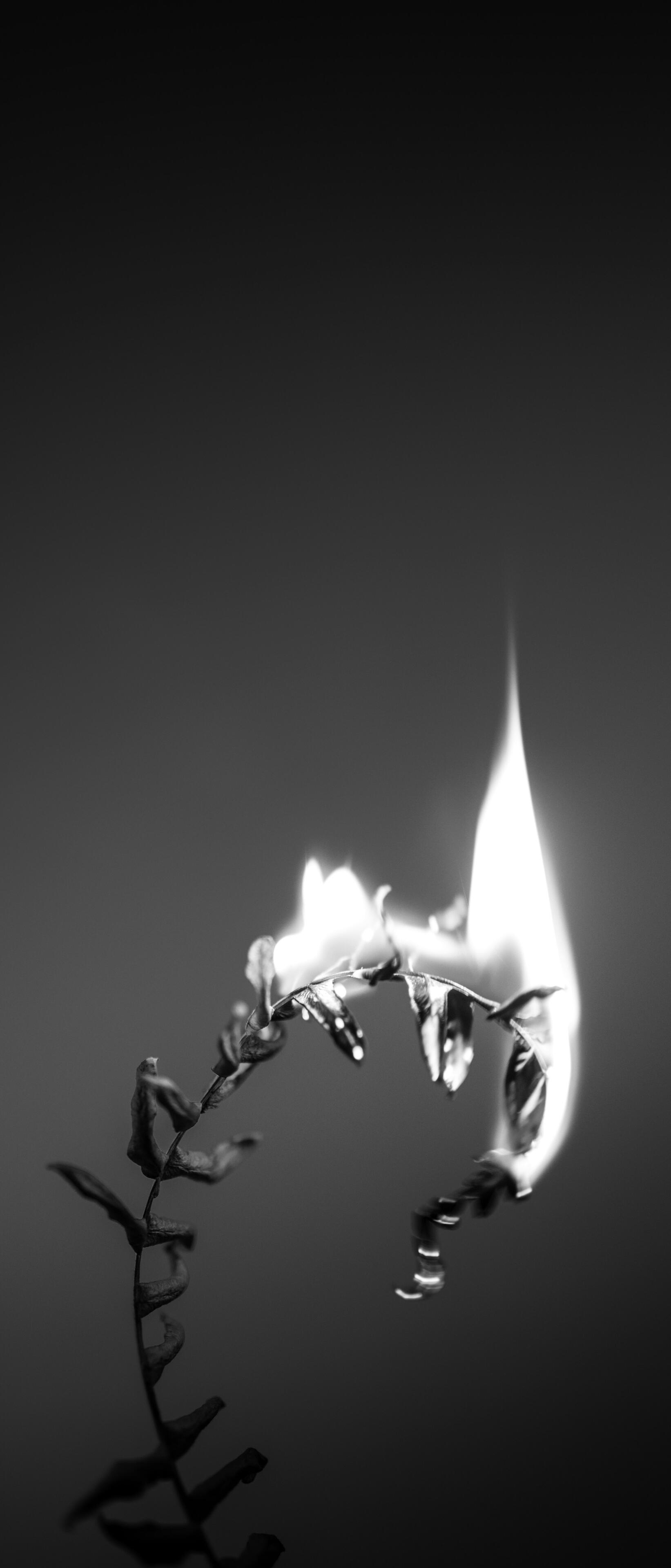 Molly Toomey mental health therapy counseling Connecticut