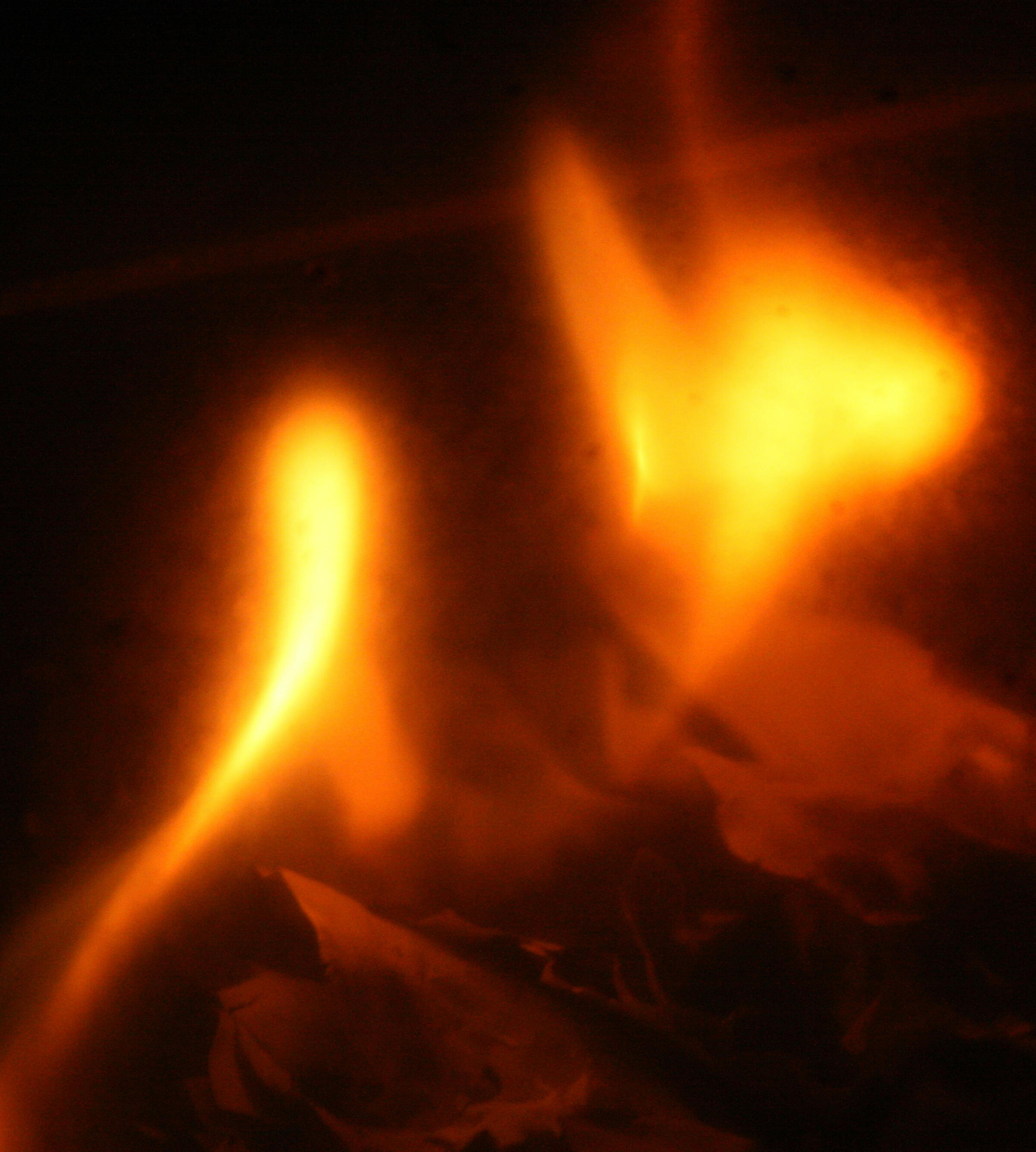 Molly Toomey mental health therapy counseling Connecticut