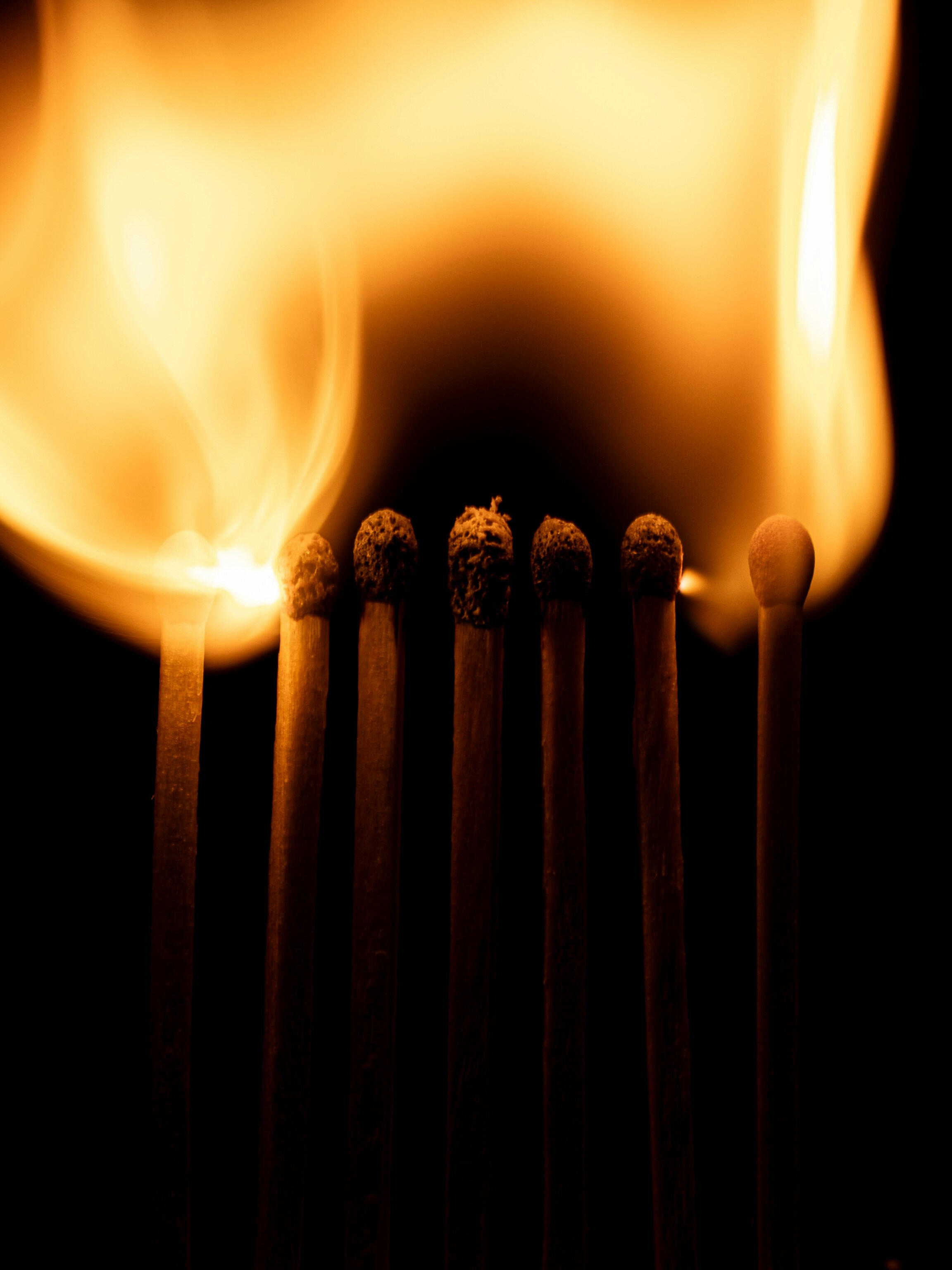 Molly Toomey mental health therapy counseling Connecticut